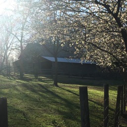 McDaniel Farm - Atlanta, GA